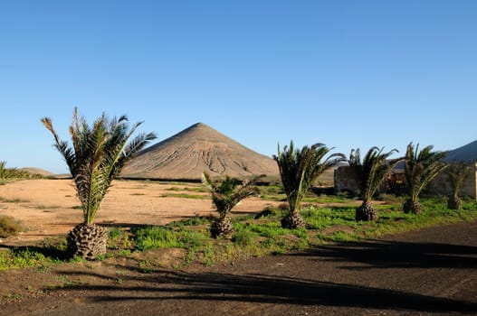 Fuerteventura