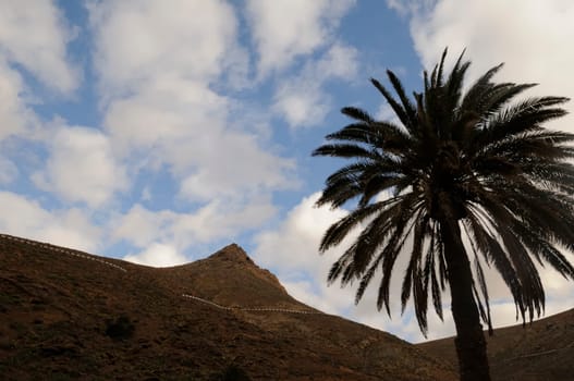 Fuerteventura