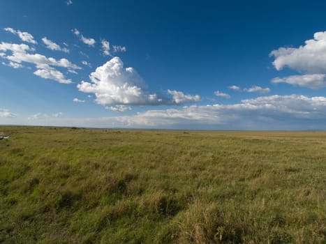 Masai Mara