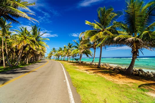 Highway next to turquoise Caribbean sea and palm trees in San Andres, Colombia