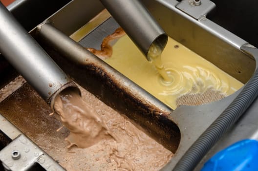 output of olive oil and scrap in a mill