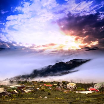 Amazing sunset and sea of cloud with mountains and tree