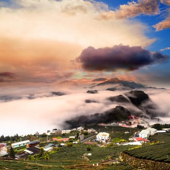 Amazing sunset and sea of cloud with mountains and tree