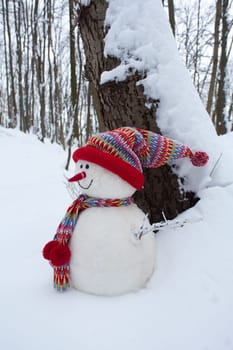 Snowman,with hood and scarf in wintry landscape