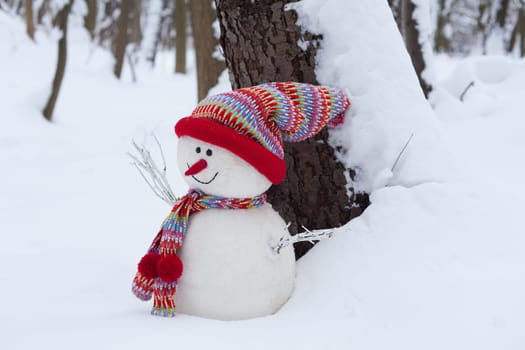 Snowman,with hood and scarf in wintry landscape