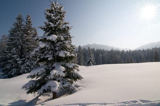 Winter in the Alps