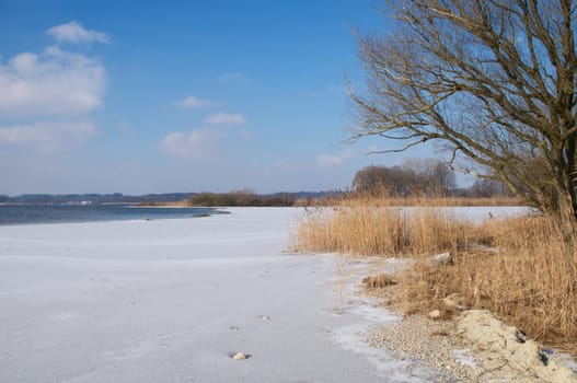 Chiemsee in winter