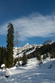 The Alps