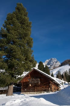 Mountain hut
