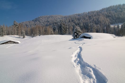Buried under snow
