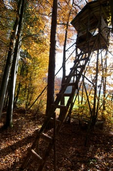 Hunter's stand
