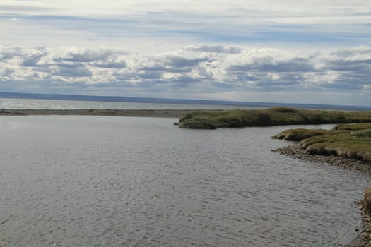 parqueParque Pinguino Rey - King Penguin park on Tierra del fuego