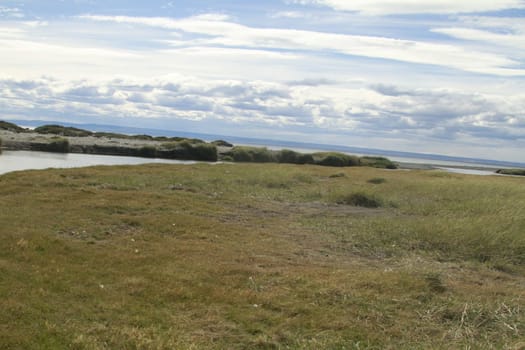 parqueParque Pinguino Rey - King Penguin park on Tierra del fuego