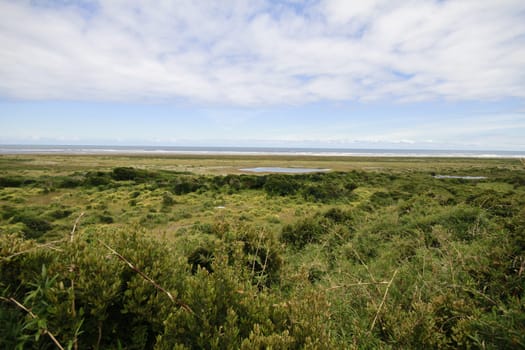 Parque nacional de chiloe