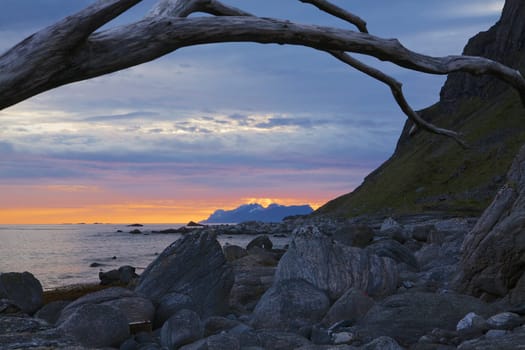 Rocky beach on Lofoten islands in norway