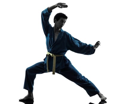 one asian young man exercising martial arts karate vietvodao in silhouette studio isolated on white background
