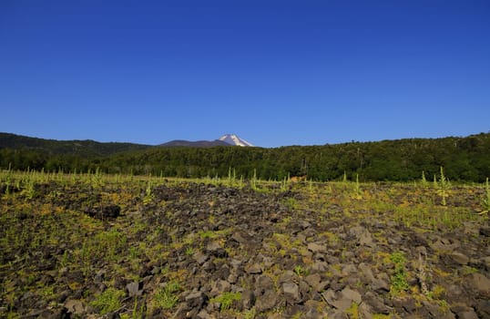 Parque Nacional Conguillo Chile