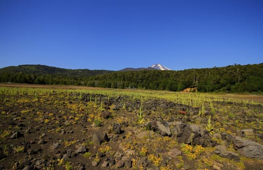 Parque Nacional Conguillo Chile