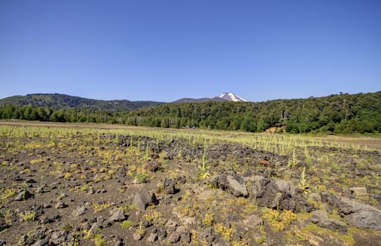 Parque Nacional Conguillo Chile