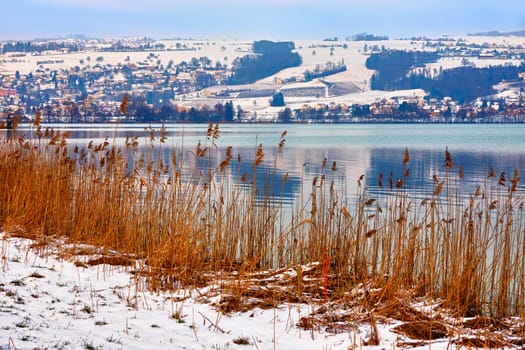 Winter at Lake Baldegg
