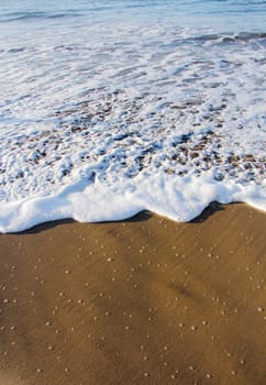 The day at the sea