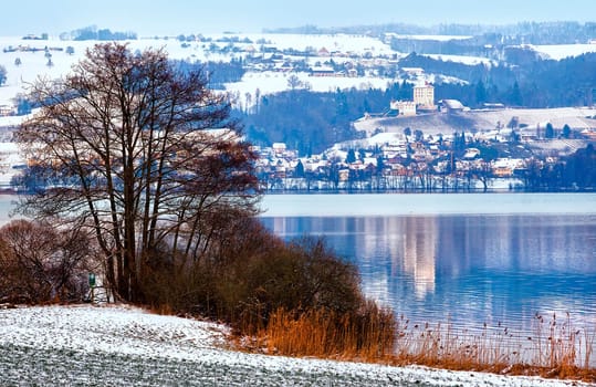 Lake Baldegg with Baldegg Castle