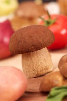 Cepe mushroom on kitchen table