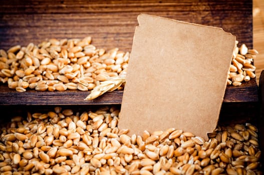 Wheat grains with piece of blank paper
