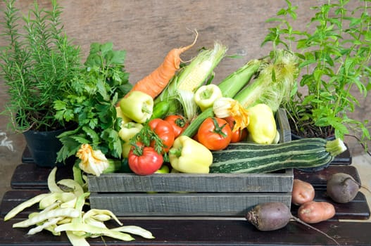 Fresh herbs and vegetables in wooden crate