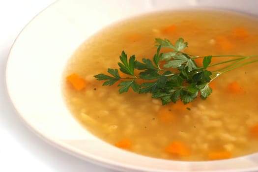 Home made chicken or turkey soup