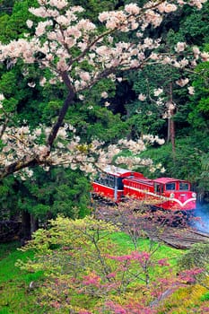 Alishan Forest train for adv or others purpose use