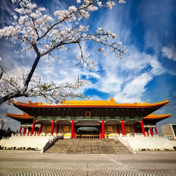 National Theater in Taipei, Taiwan mixed with nice sakura tree
