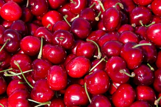 cherries in summer in San Francisco