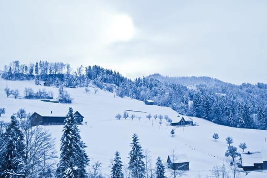 Beautiful winter landscape
