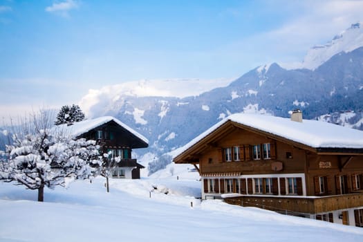 Beautiful winter landscape