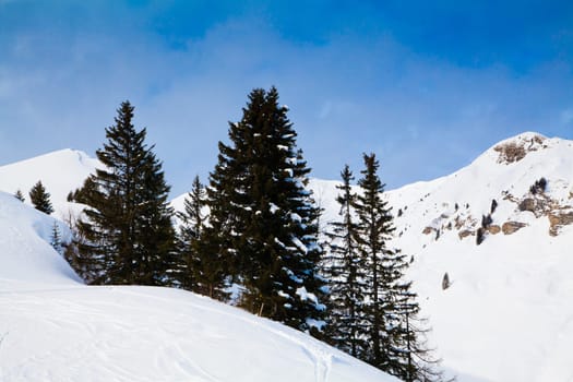 Landscape of the mountains covered with snow. Snowy Mountain.