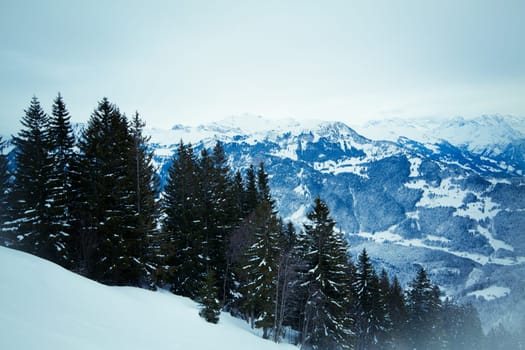 Landscape of the mountains covered with snow. Snowy Mountain.