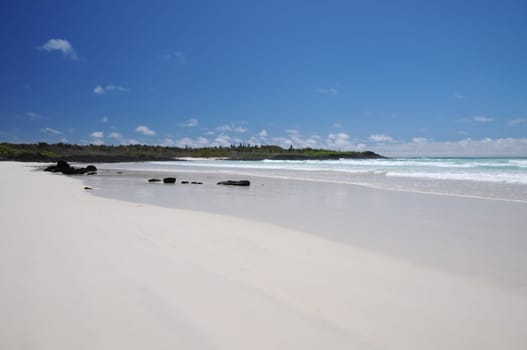 I photographed this beautiful beach on Galapagos,on the island of Santa Cruz. Since most beaches are made of lava rock,this beach is something special!