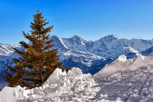 View from the Niederhorn