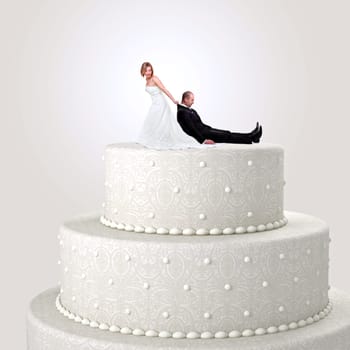 funny cake topper with bride and groom