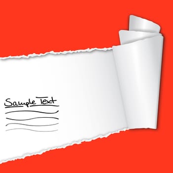 Torn paper with copy space