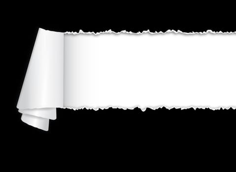 Torn paper with copy space