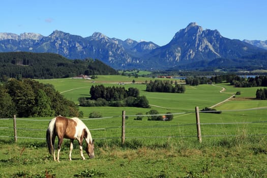 A beautiful Allgäu landscape