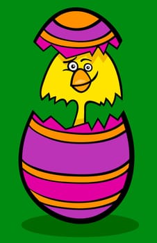 Cartoon Illustration of Funny Little Yellow Chicken or Chick in Colorful Eggshell of Easter Egg