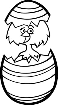 Black and White Cartoon Illustration of Funny Little Chicken or Chick in Colorful Eggshell of Easter Egg for Coloring Book