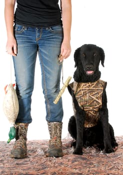 hunting dog - woman hunter and her curly coated retriever isolated on white background