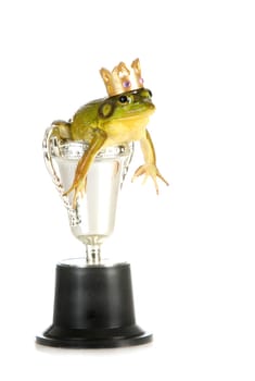 frog in a trophy isolated on white background