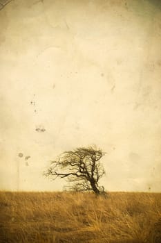 Lonely tree landscape on vintage background