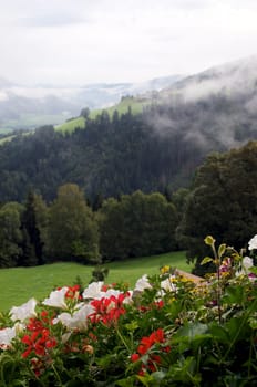 Mountains