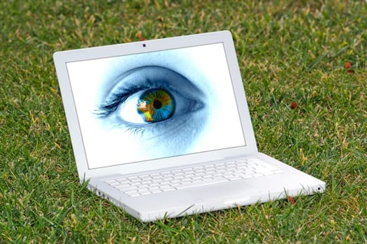 Laptop on the grass with clouds on the screen